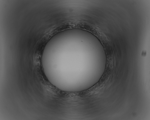X0000089920770200707131410