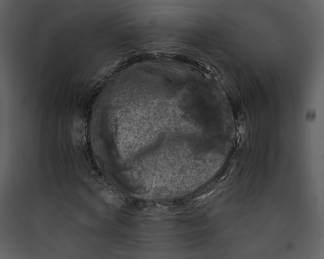 X0000089920772200707131410
