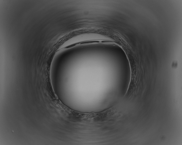 X0000089920773200707131410