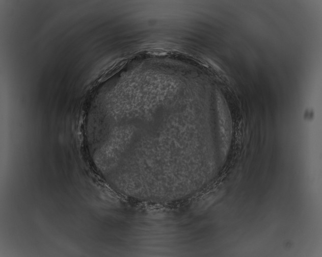 X0000089920774200707131410