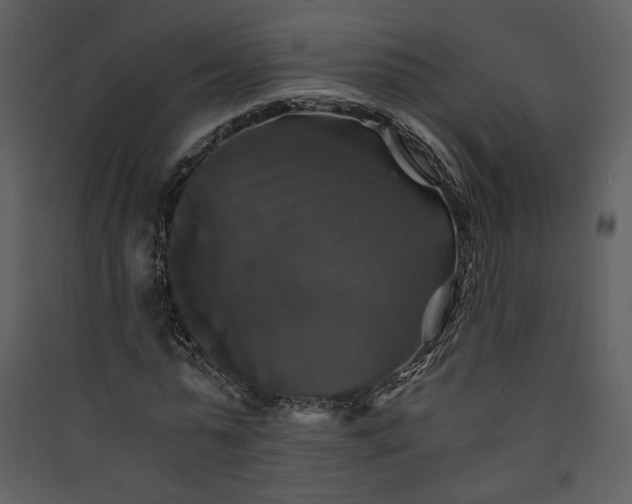 X0000089920775200707131410