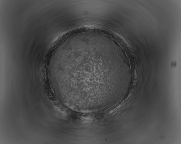 X0000089920776200707131410
