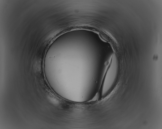 X0000089920777200707131410