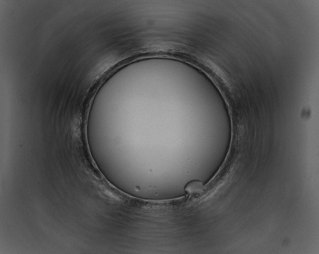 X0000089920778200707131410
