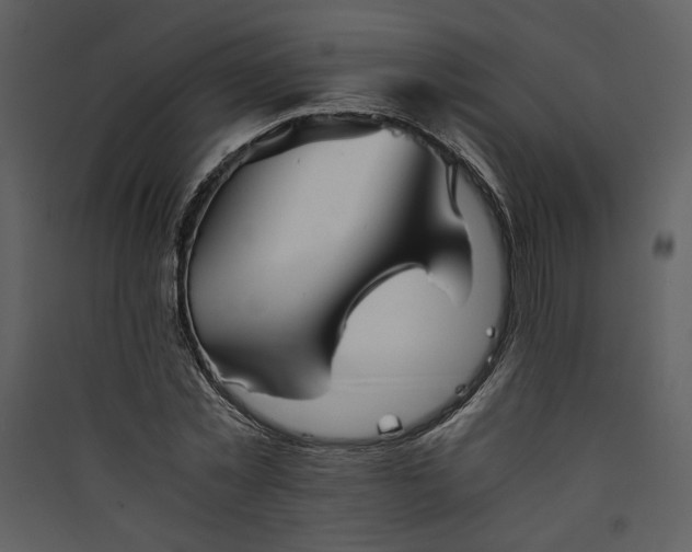 X0000089920781200707131410