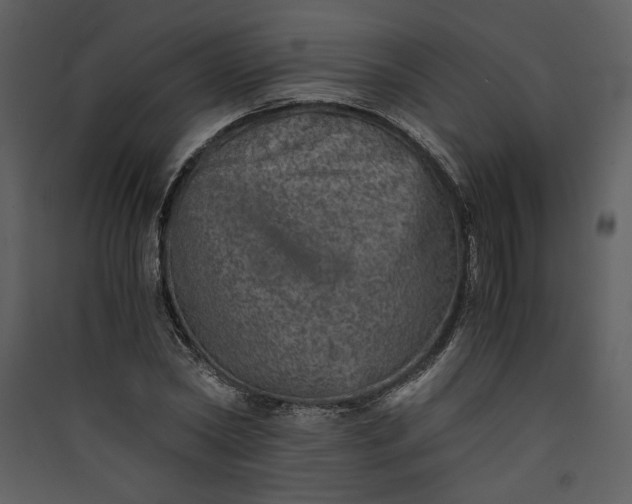 X0000089920782200707131410