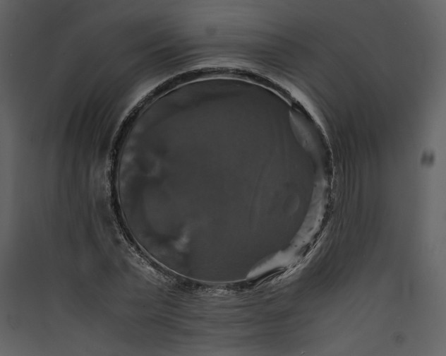 X0000089920783200707131410