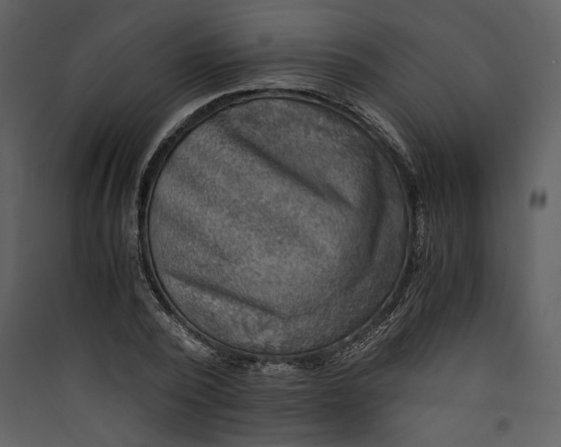 X0000089920784200707131410