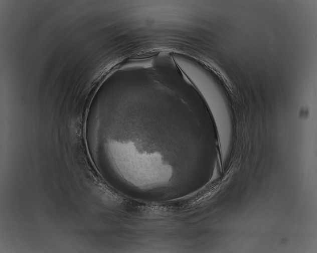 X0000089920785200707131410