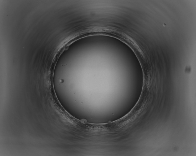 X0000089920786200707131410