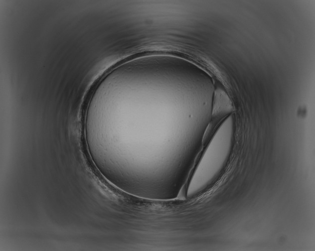 X0000089920787200707131410