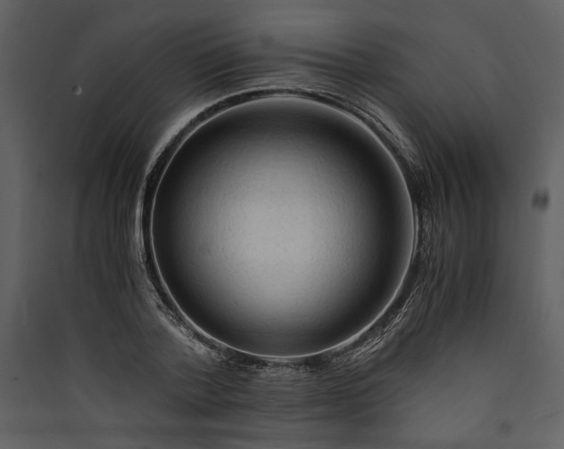 X0000089920788200707131410