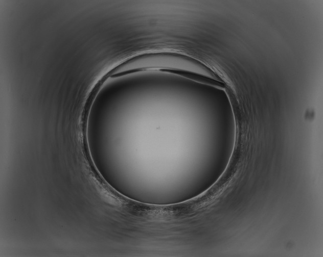 X0000089920789200707131410