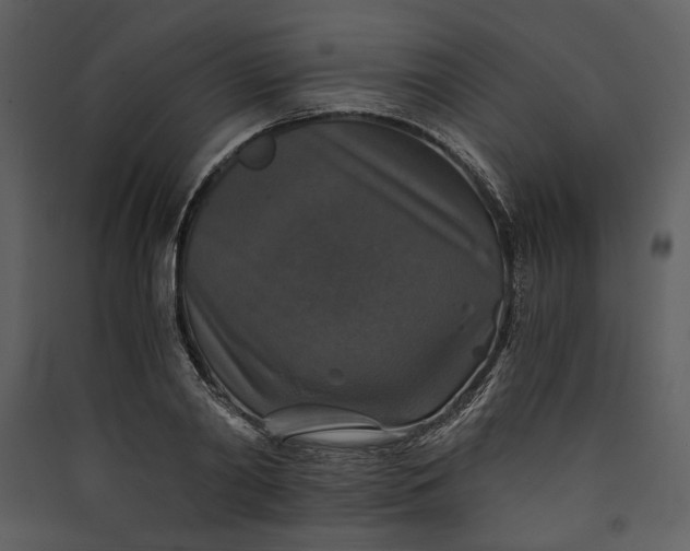 X0000089920790200707131410