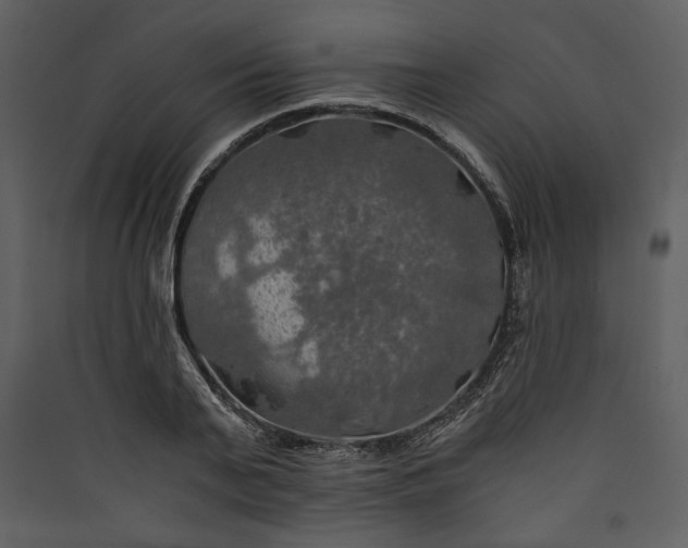 X0000089920791200707131410