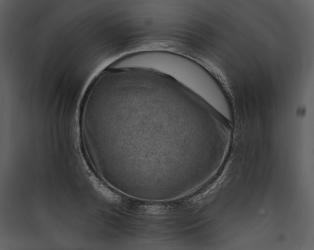 X0000089920792200707131410
