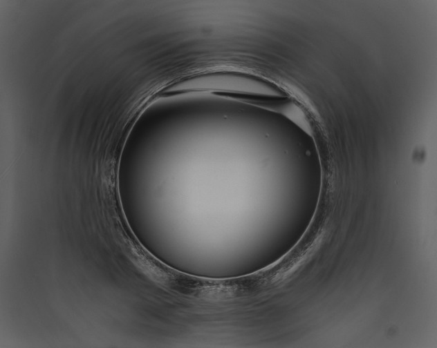 X0000089920793200707131410