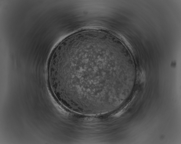 X0000089920795200707131410
