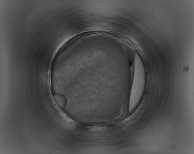 X0000089920796200707131410