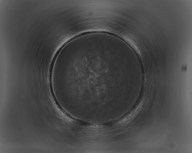 X0000089920797200707131410