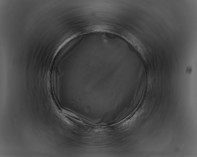X0000089920798200707131410