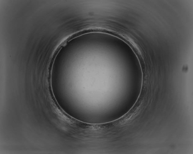 X0000089920799200707131410
