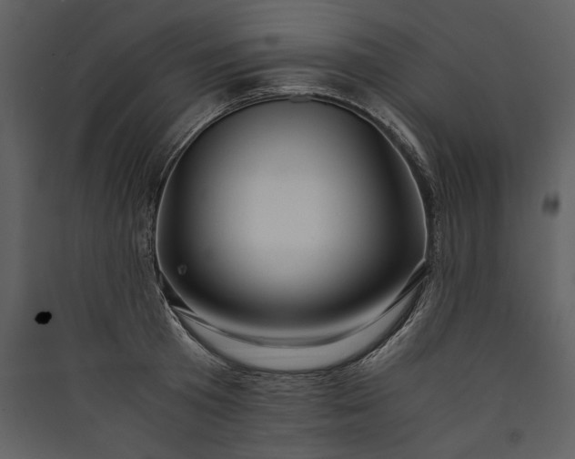 X0000089920801200707131409