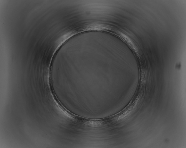 X0000089920802200707131409