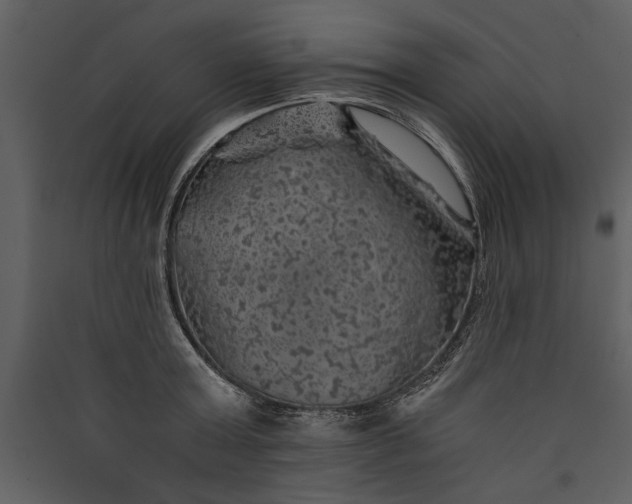 X0000089920803200707131409