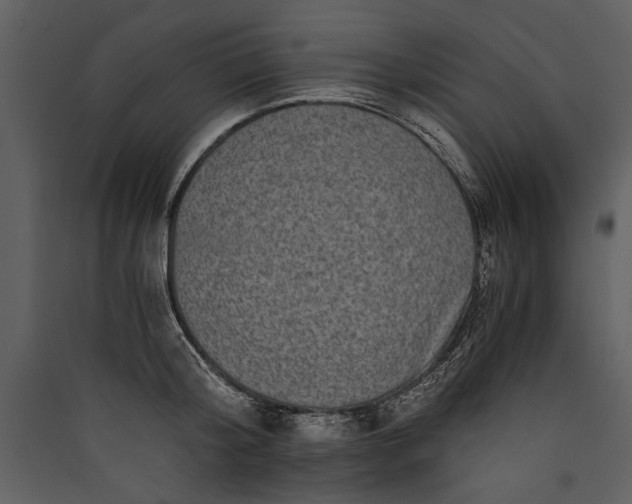 X0000089920804200707131409