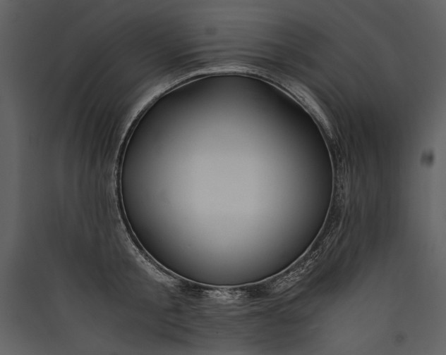 X0000089920805200707131409
