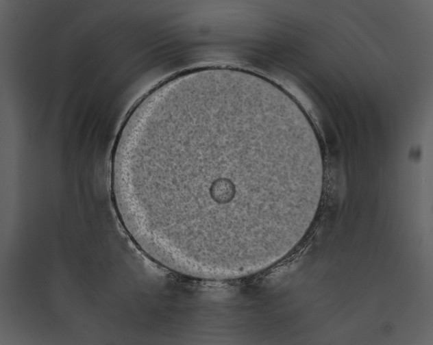 X0000089920807200707131409