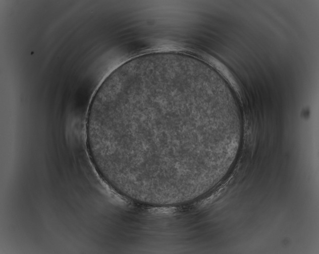 X0000089920810200707131409