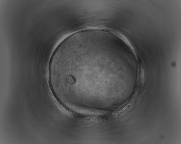 X0000089920811200707131409
