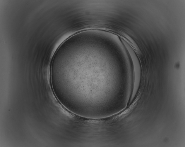 X0000089920812200707131409