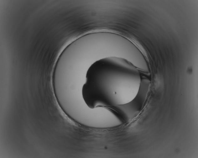 X0000089920813200707131409