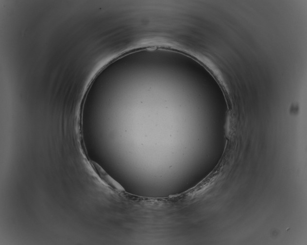 X0000089920815200707131409
