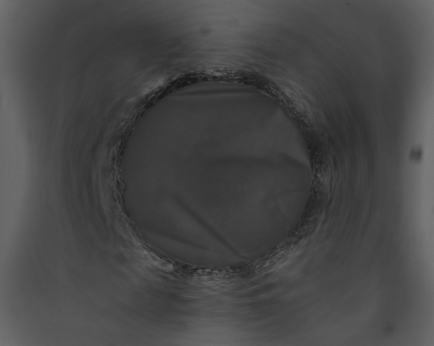 X0000089920817200707131408