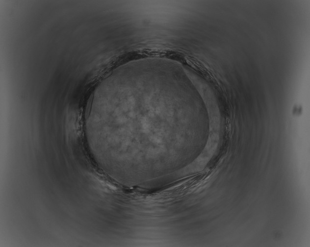 X0000089920818200707131408