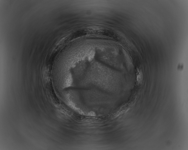 X0000089920819200707131408