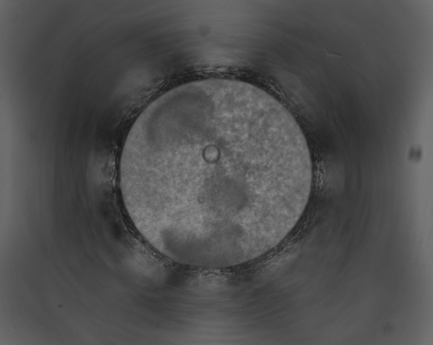 X0000089920820200707131408