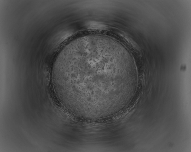X0000089920821200707131408