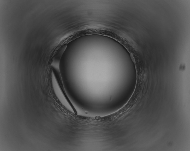 X0000089920822200707131408