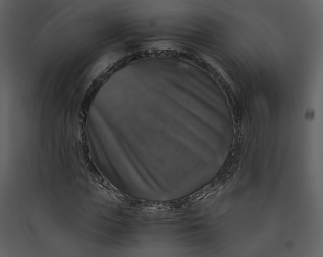 X0000089920823200707131408