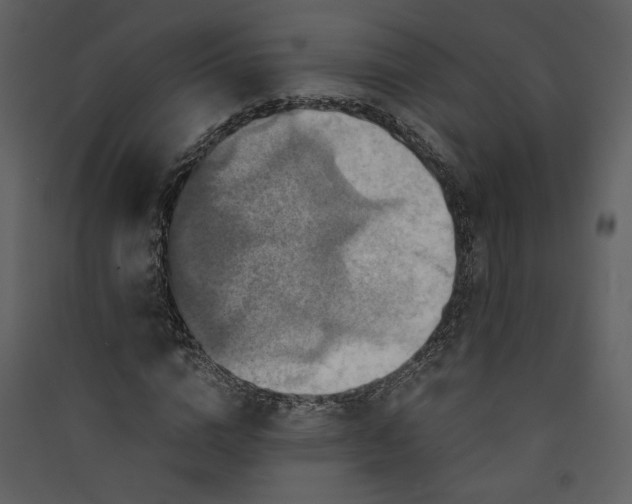 X0000089920824200707131408