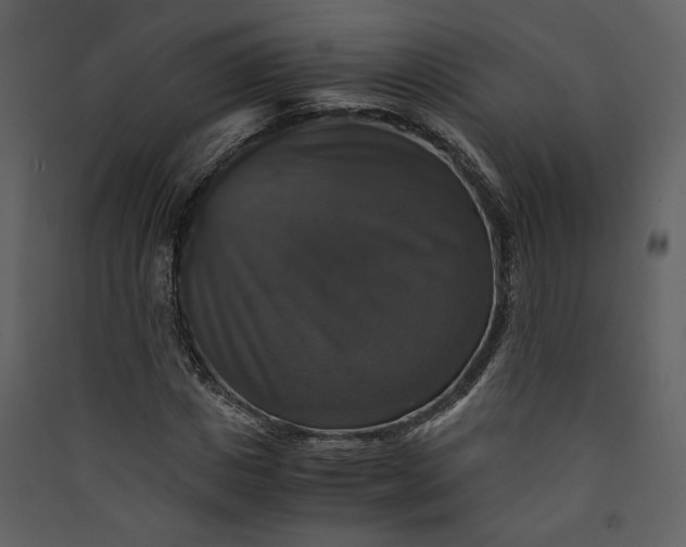 X0000089920825200707131408