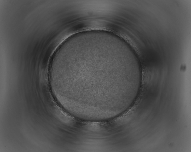 X0000089920828200707131408