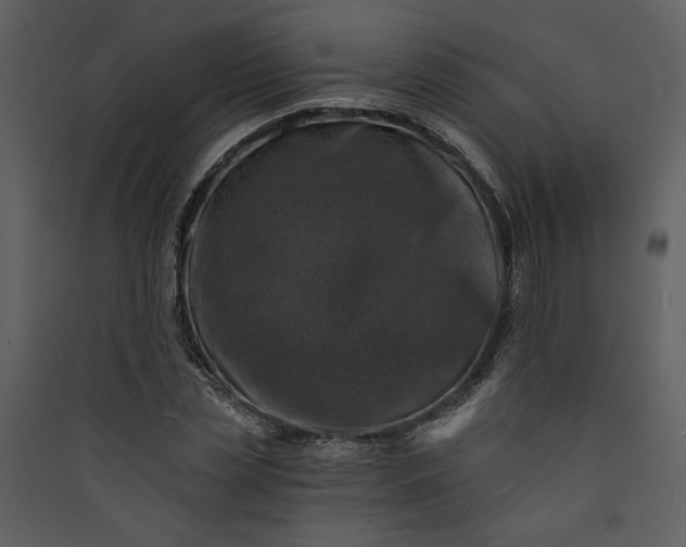 X0000089920829200707131408