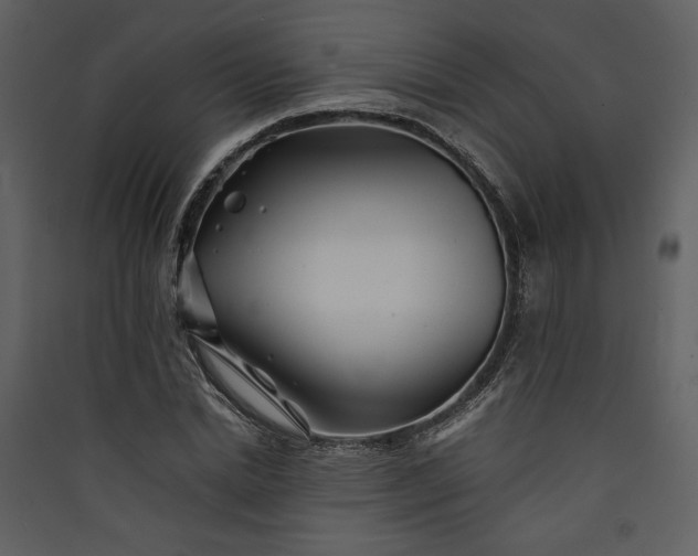 X0000089920830200707131409