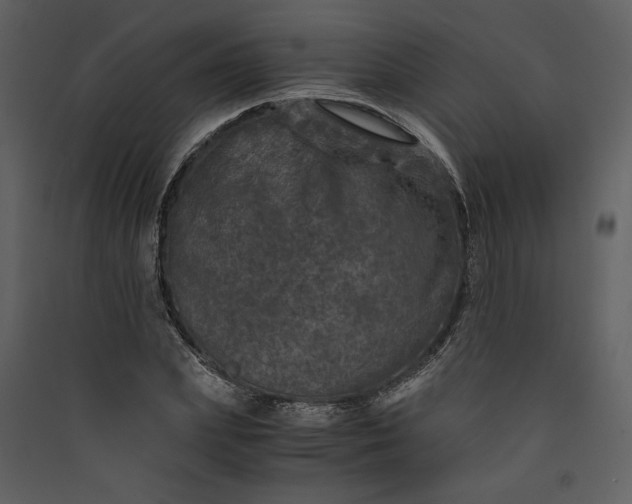 X0000089920831200707131409